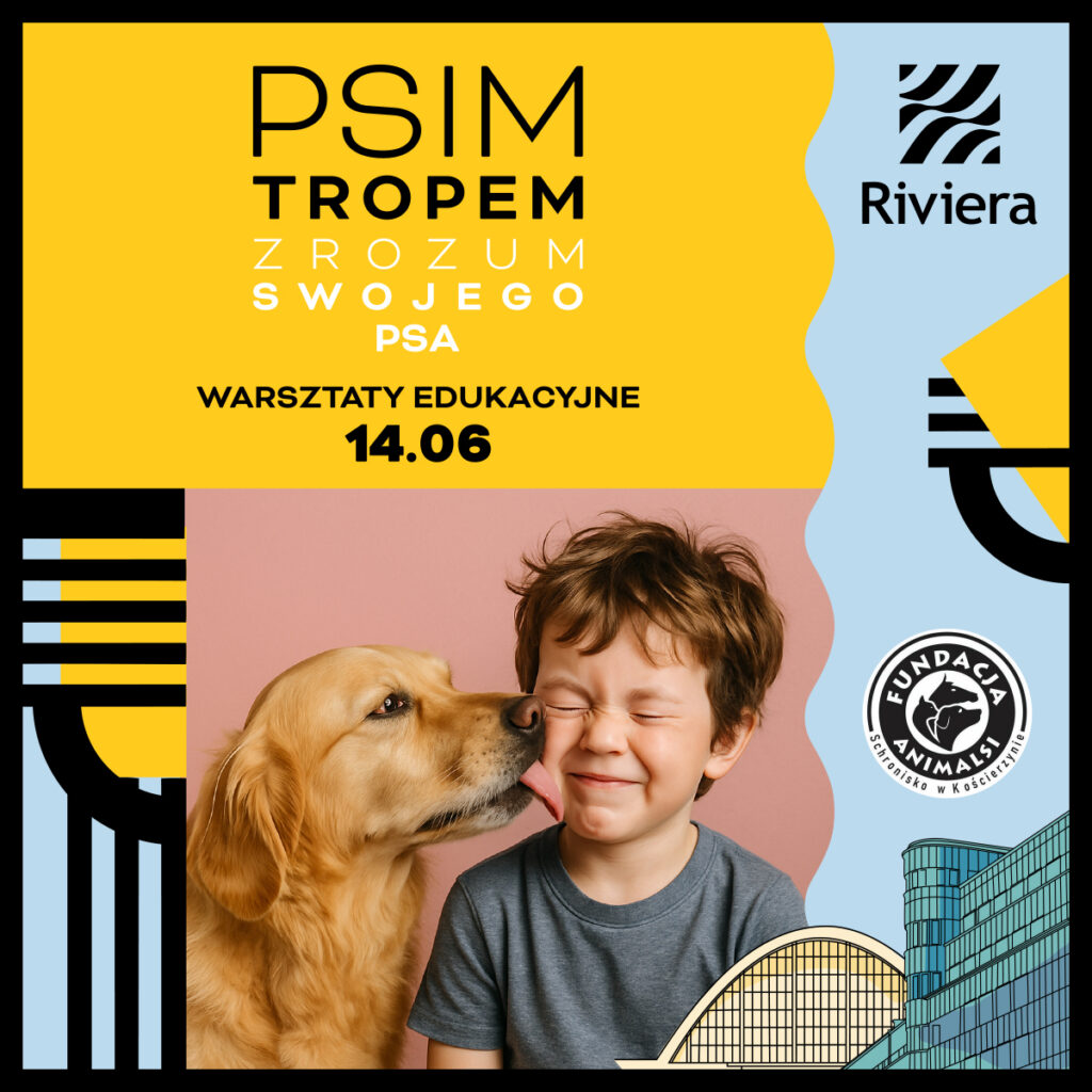 RIVIERA PSIE WARSZTATY promocje www:post IG x px