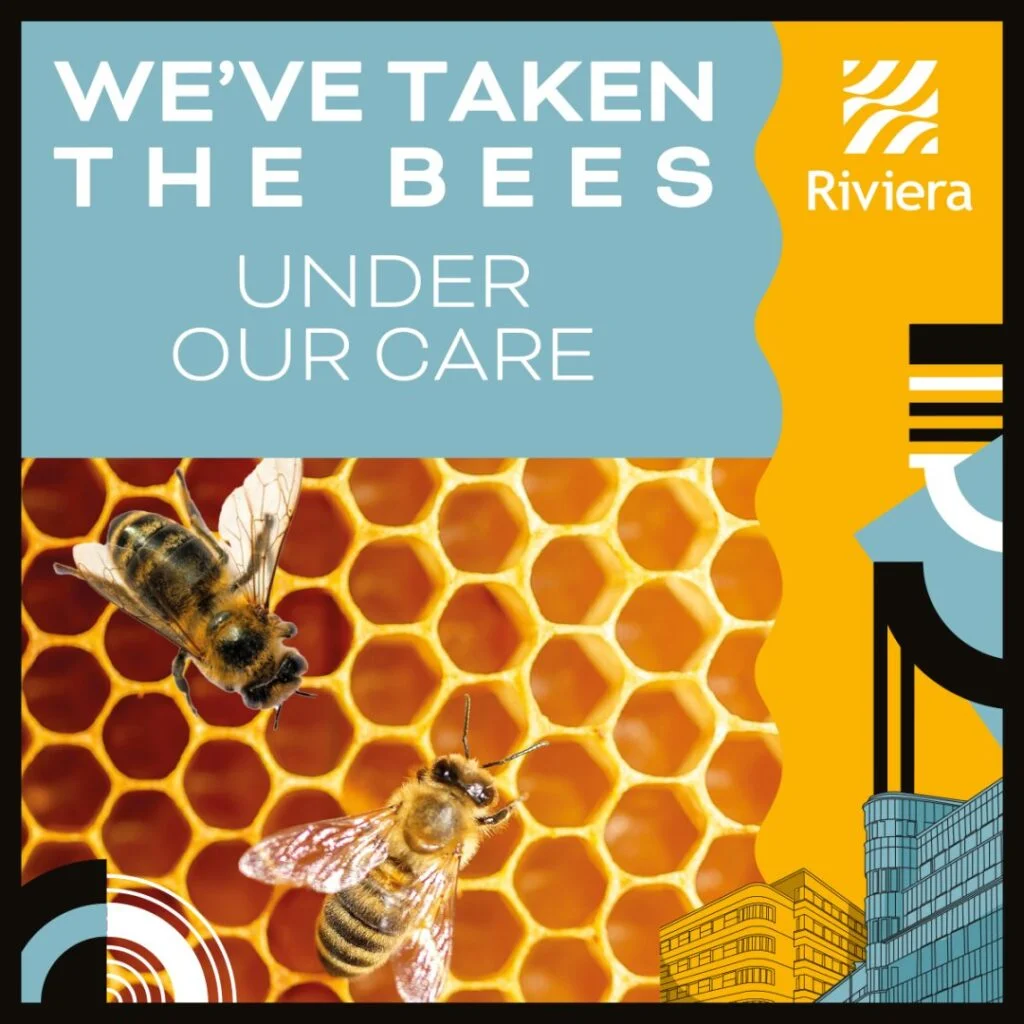 Dwie pszczoły na plastrze miodu, logo Centrum Riviera.